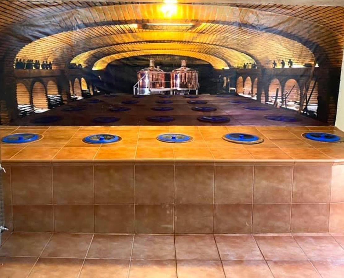 Brewery House&Beer Spa Aspindza Extérieur photo